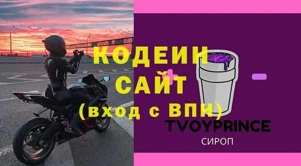 Альфа ПВП Верея